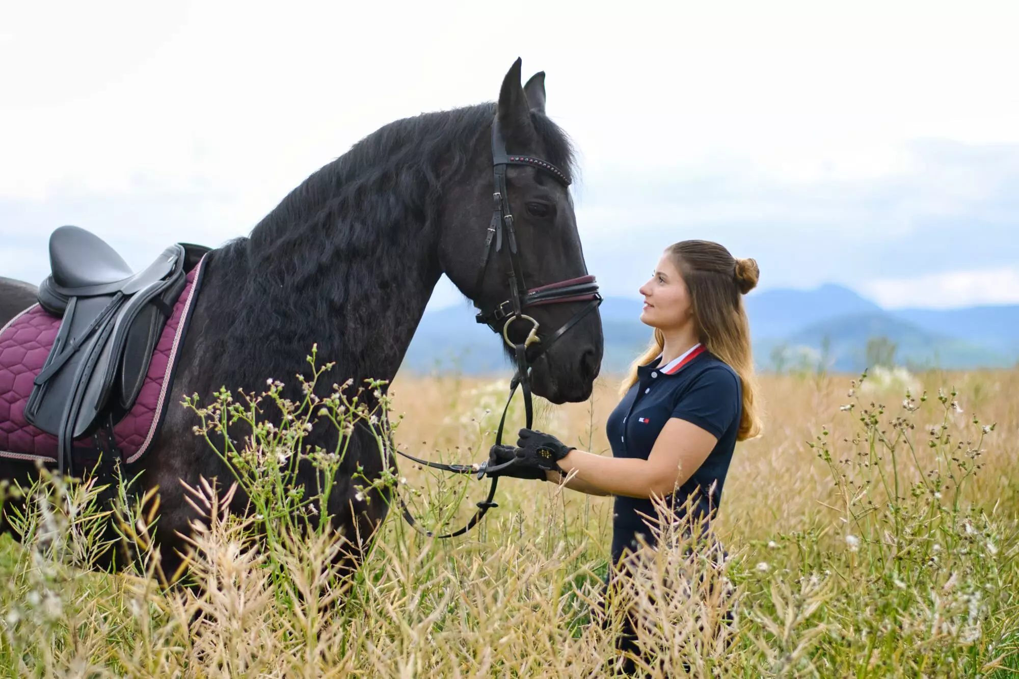 Reiterin mit Pferd